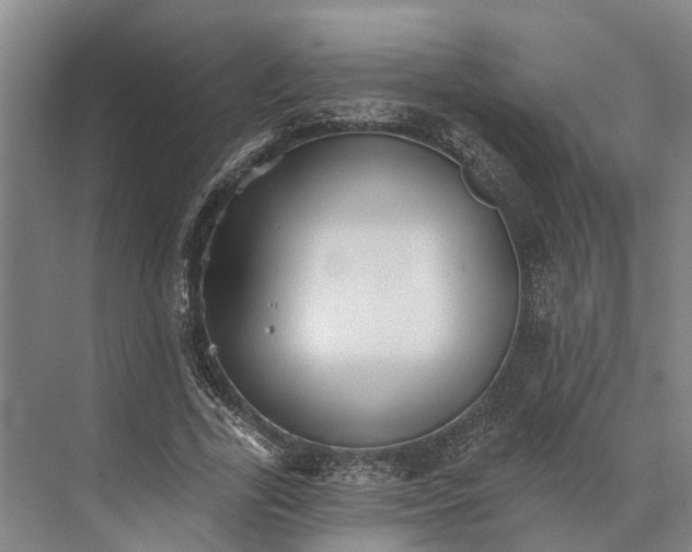 X0000074000731200609181807