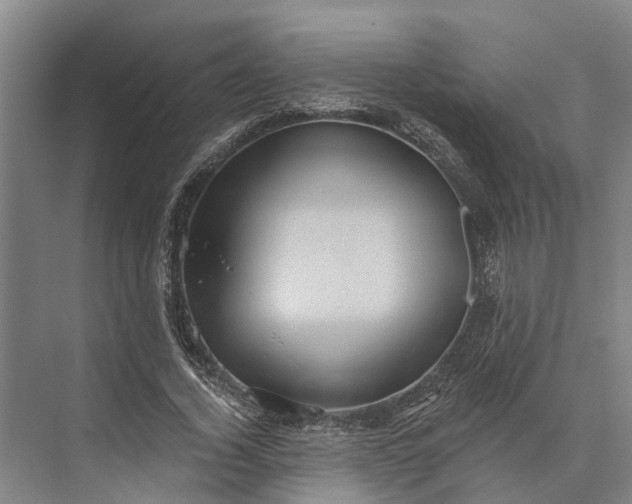 X0000074000732200609181807