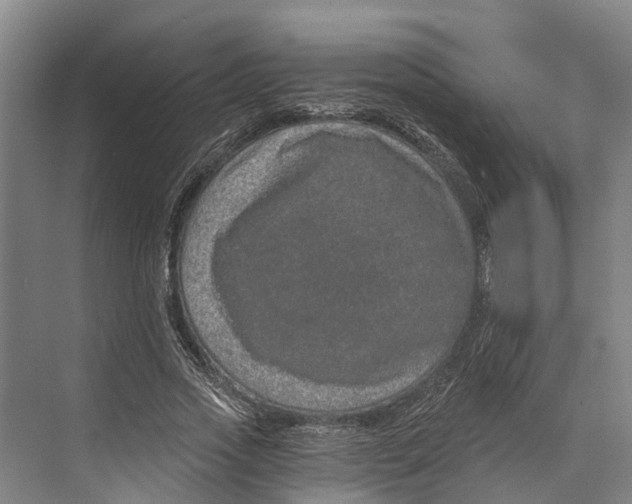 X0000074000733200609181807