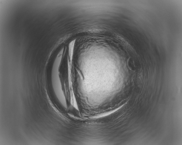 X0000074000734200609181807