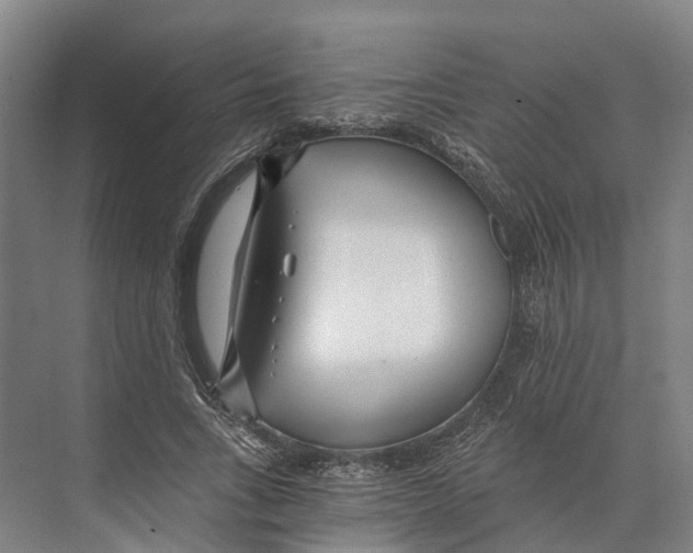 X0000074000735200609181807