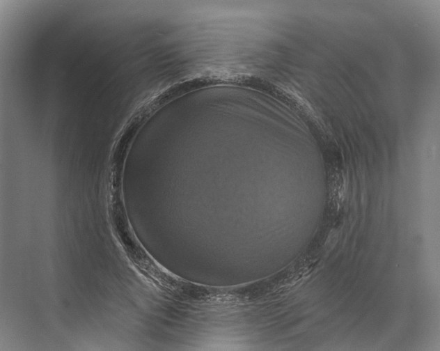 X0000074000736200609181807