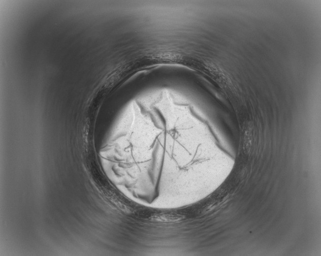 X0000074000739200609181808