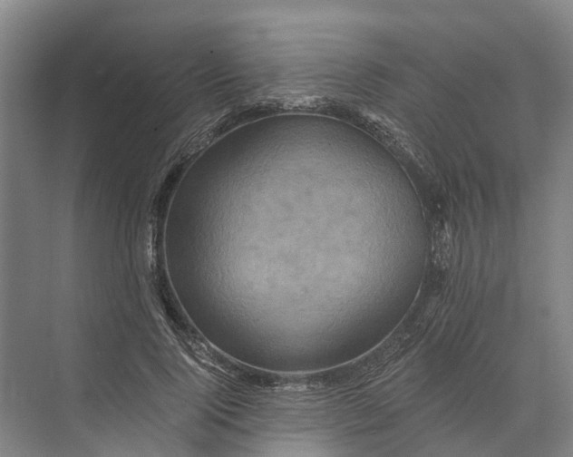 X0000074000740200609181808