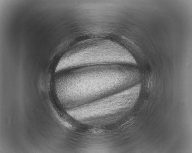 X0000074000742200609181808