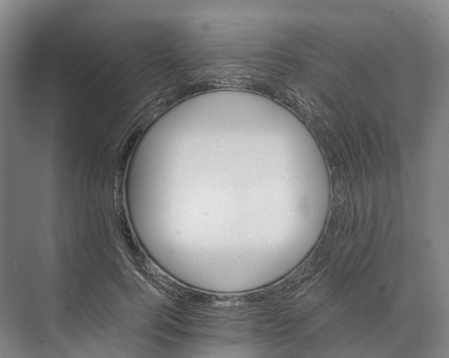 X0000074000744200609181808