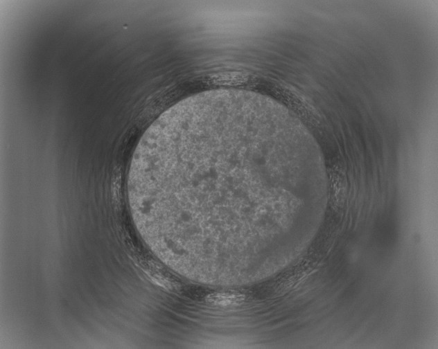 X0000074000745200609181808