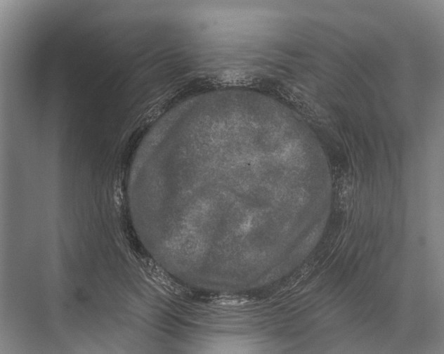 X0000074000746200609181808