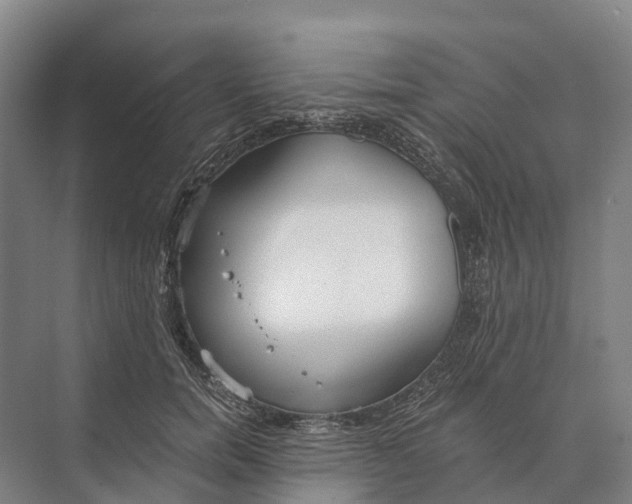 X0000074000750200609181808