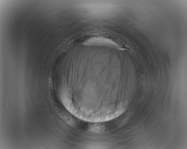 X0000074000754200609181808