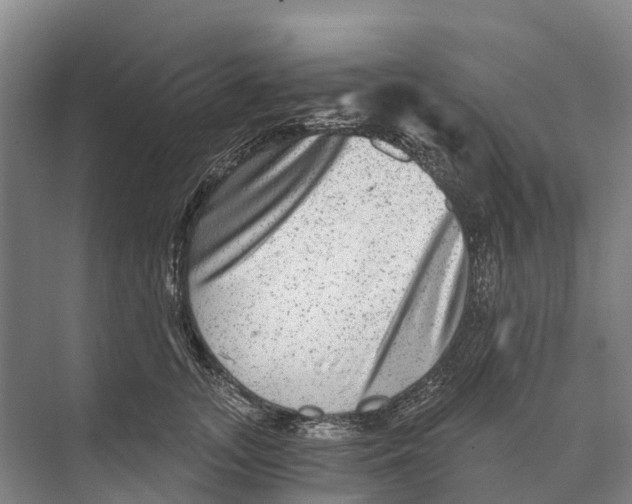 X0000074000755200609181808