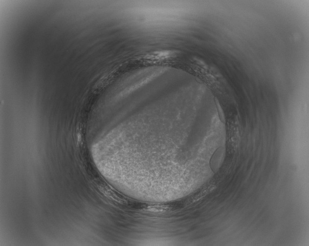 X0000074000758200609181808