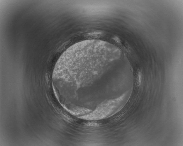 X0000074000759200609181808