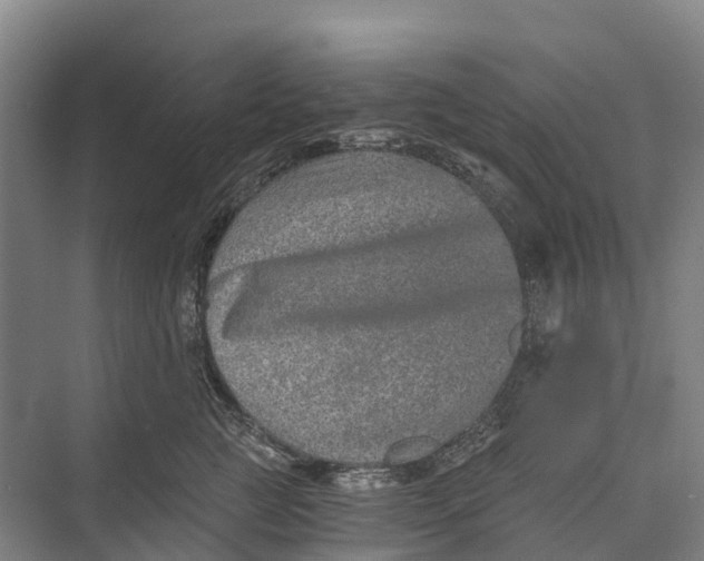 X0000074000761200609181808