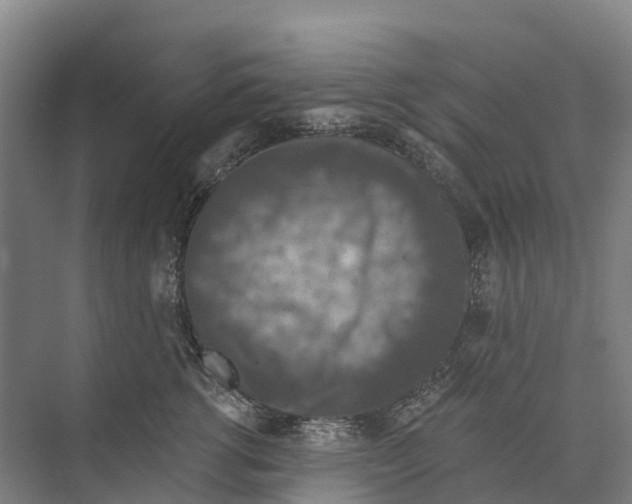 X0000074000762200609181808