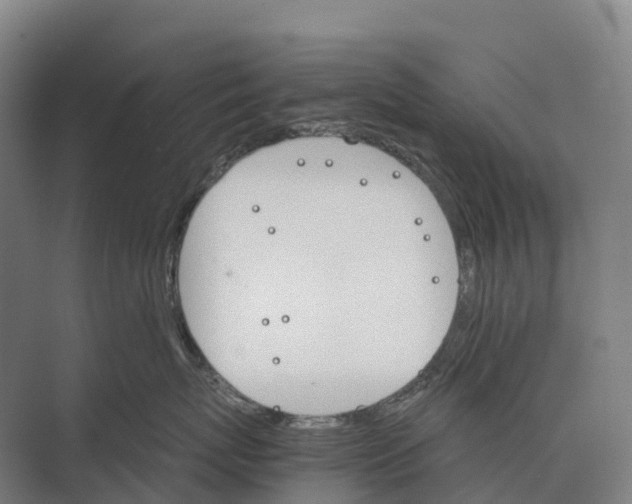 X0000074000767200609181808