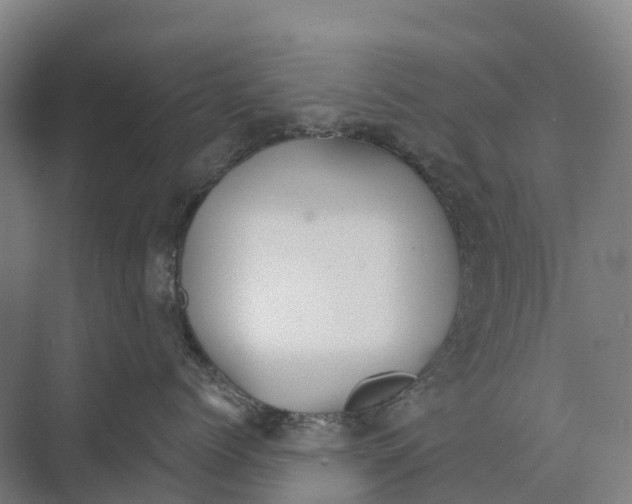 X0000074000768200609181808