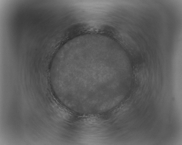 X0000074000769200609181807