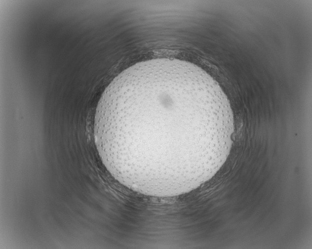 X0000074000772200609181807