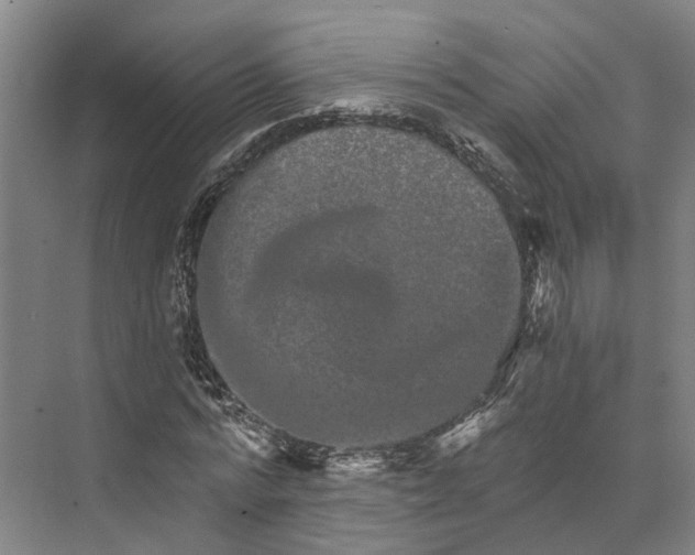 X0000074000776200609181807