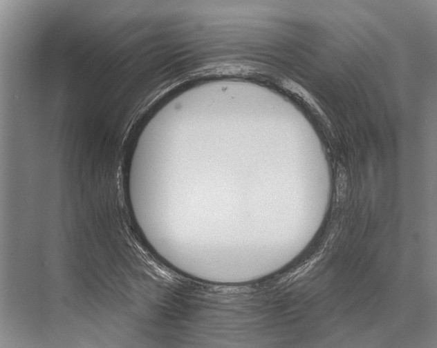 X0000074000778200609181807