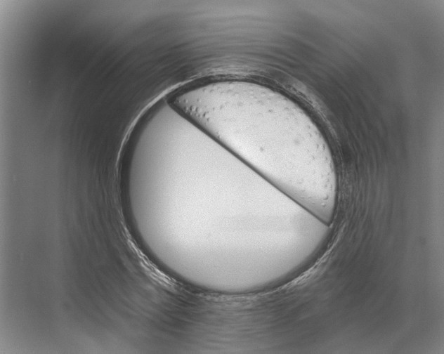 X0000074000779200609181807