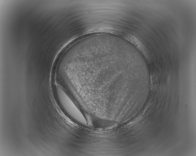 X0000074000780200609181807