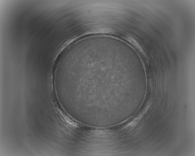 X0000074000781200609181807