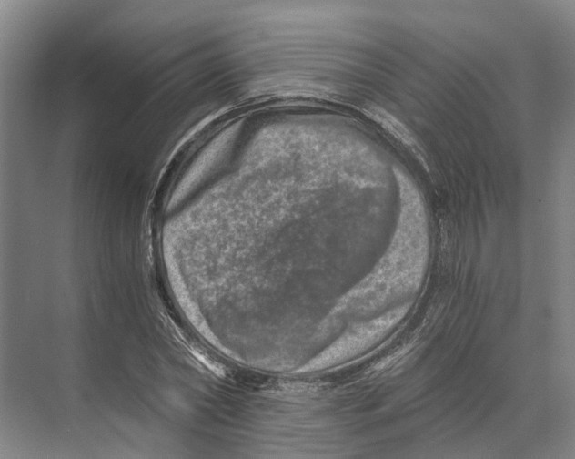 X0000074000782200609181807