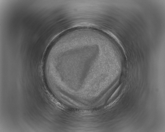 X0000074000783200609181807