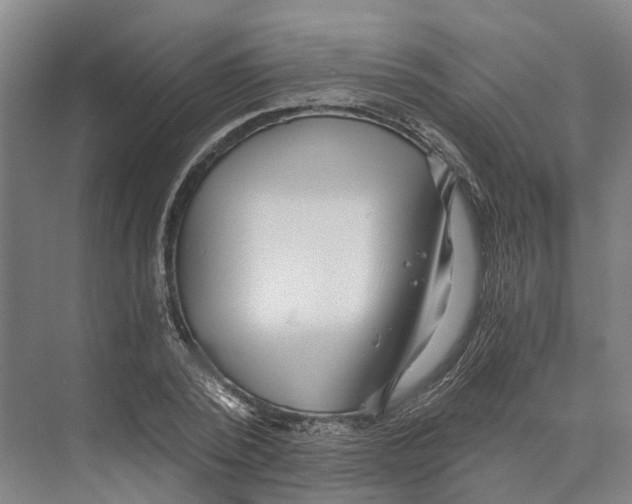 X0000074000784200609181807