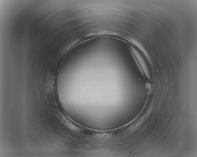 X0000074000793200609181807