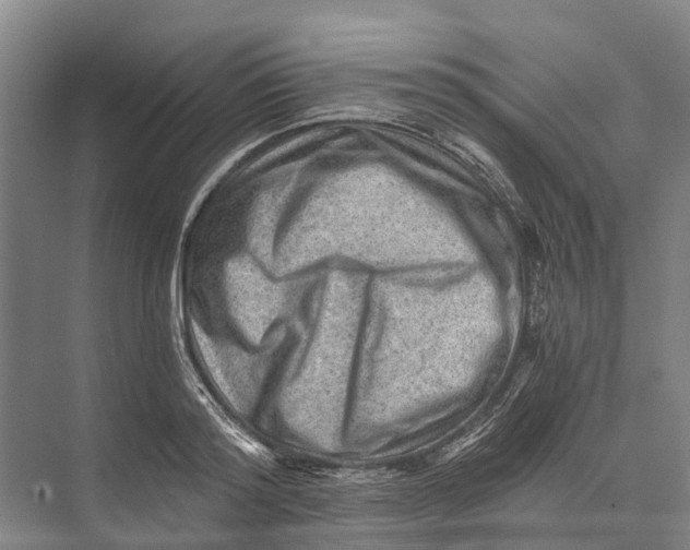 X0000074000796200609181807