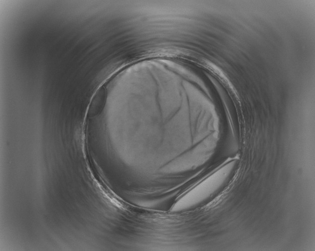 X0000074000802200609181807