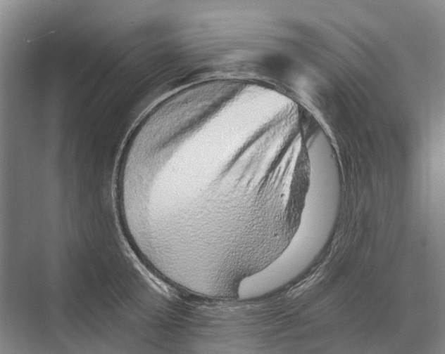 X0000074000803200609181807