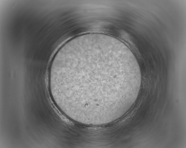 X0000074000804200609181807