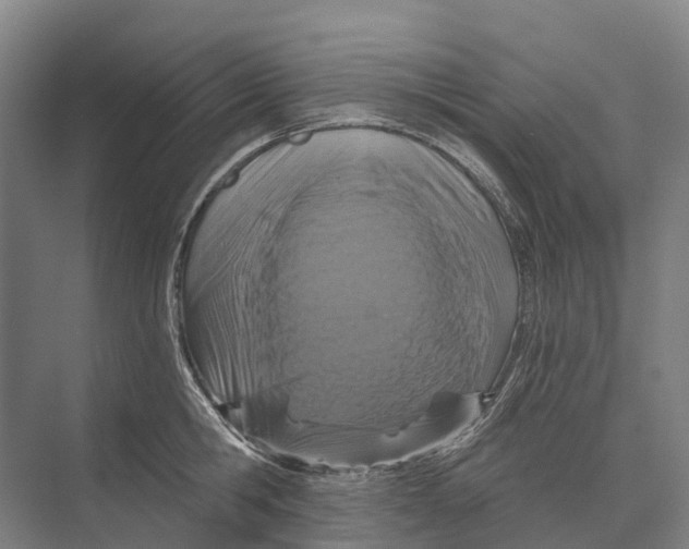 X0000074000806200609181807