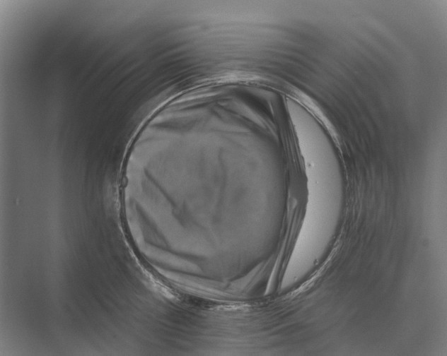 X0000074000810200609181807