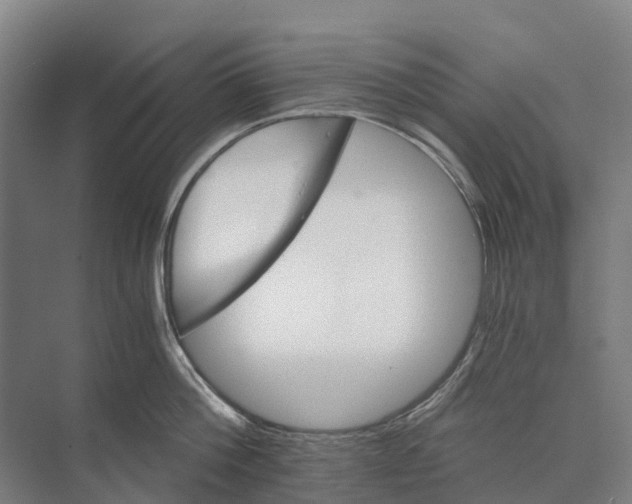 X0000074000812200609181806