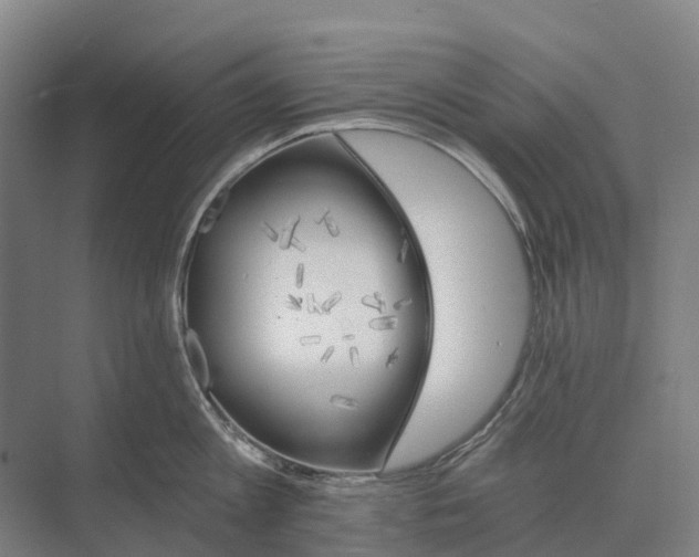 X0000074000813200609181806