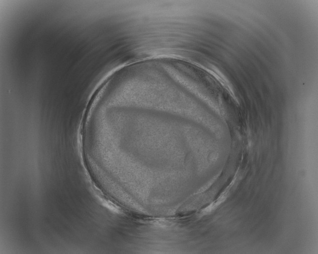 X0000074000814200609181806