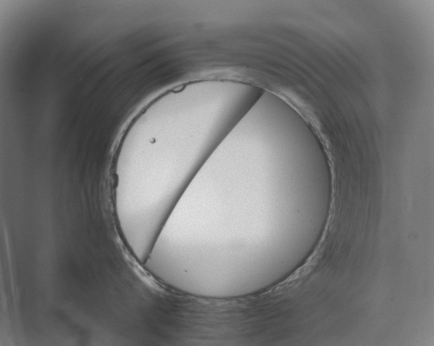 X0000074000816200609181806