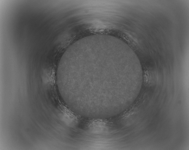 X0000074000820200609181806