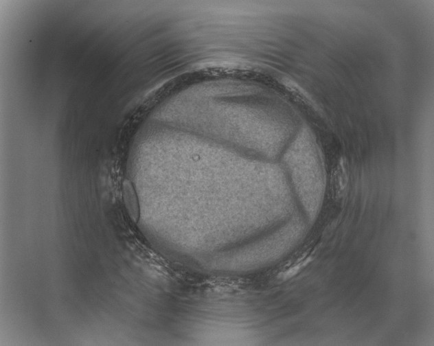 X0000074000822200609181806