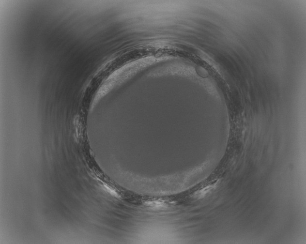 X0000074000823200609181806