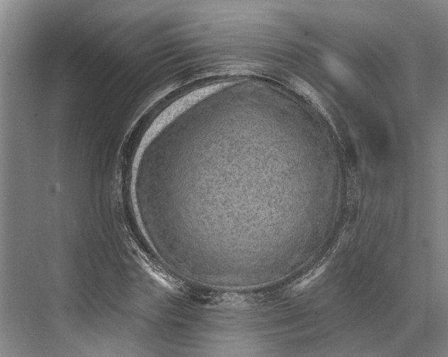 X0000074000827200609181806