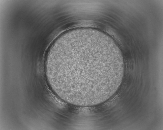 X0000074000828200609181806