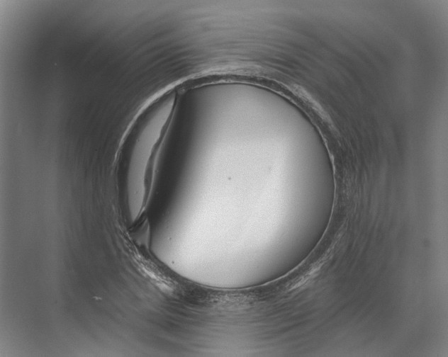 X0000074000830200609181806