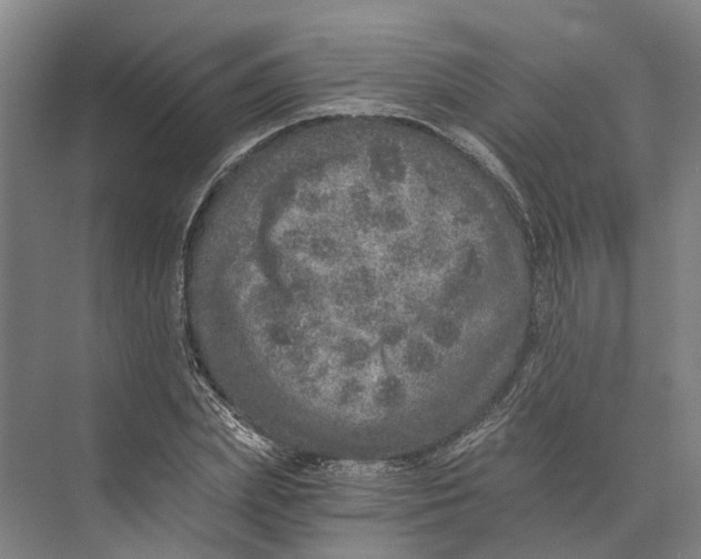 X0000074000831200609181806