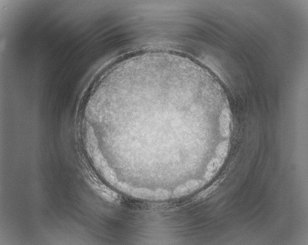 X0000074000832200609181806